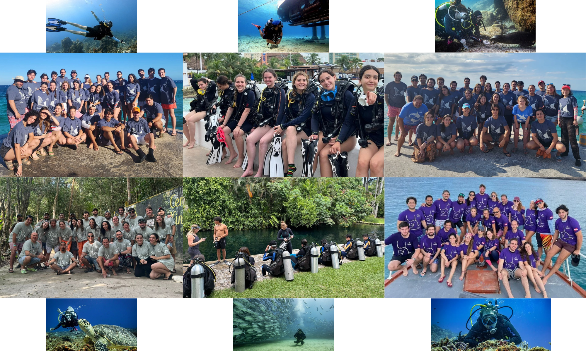 Somos BUCEANDO ANDAMOS