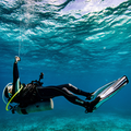 Curso PADI DIVEMASTER