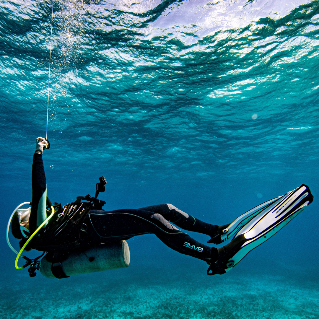 Curso PADI DIVEMASTER