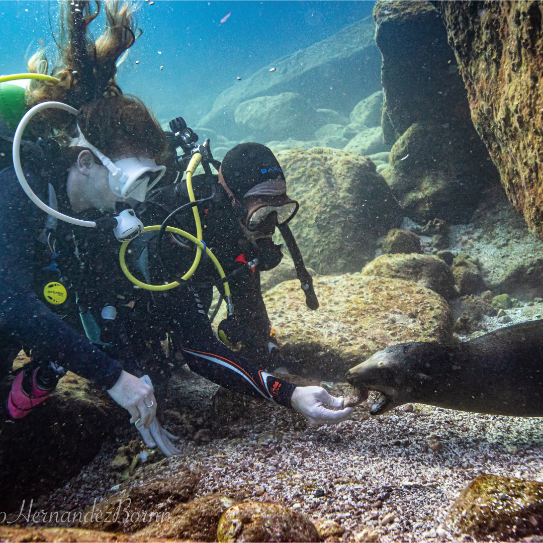 Viaje La Ventana y La Paz